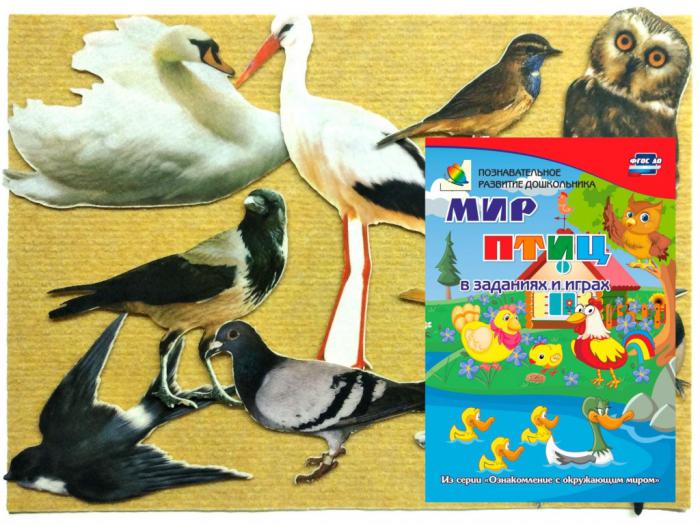 Пособие Книжка Учитель Птицы. Сборник развивающих игр для детей старше 3-х лет ИТМ-544
